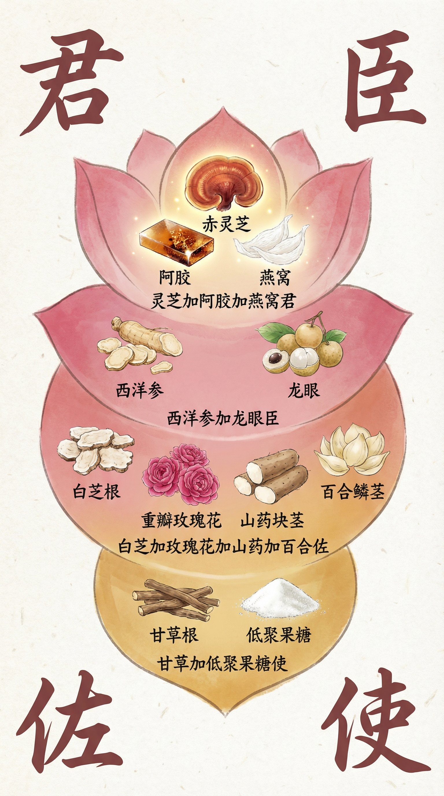 君臣佐使配方架构